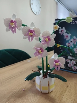 ORCHIDEA STORCZYK kwiaty klocki dla dzieci dorosłych
